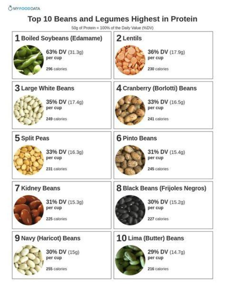 Are baked beans considered a protein?