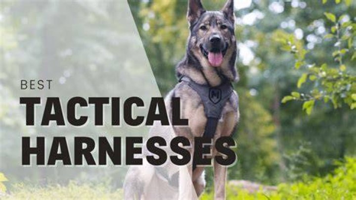 Are tactical harnesses good?