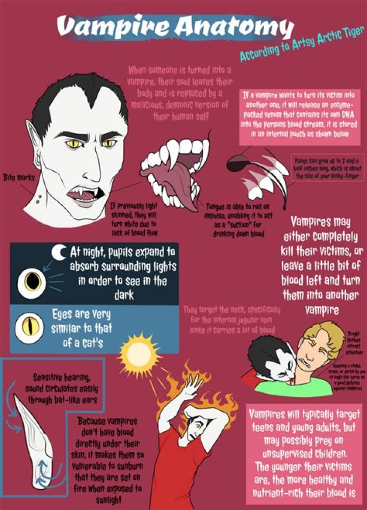 How does vampire look like?