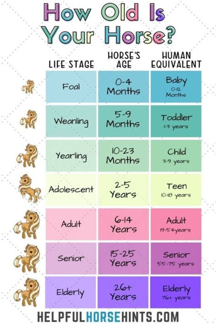 How old do horses live to be?