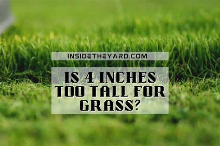 Is 4 inches too tall for grass?