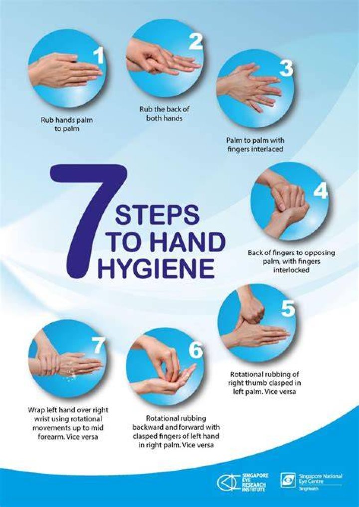 What are the 7 steps of handwashing?