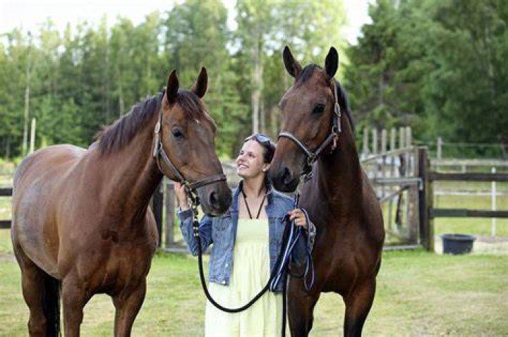 What do horses do when they are happy?