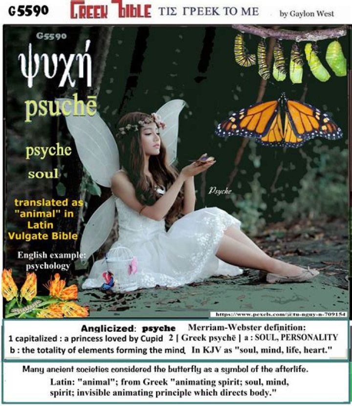 What does the Greek word psyche mean in the Bible?
