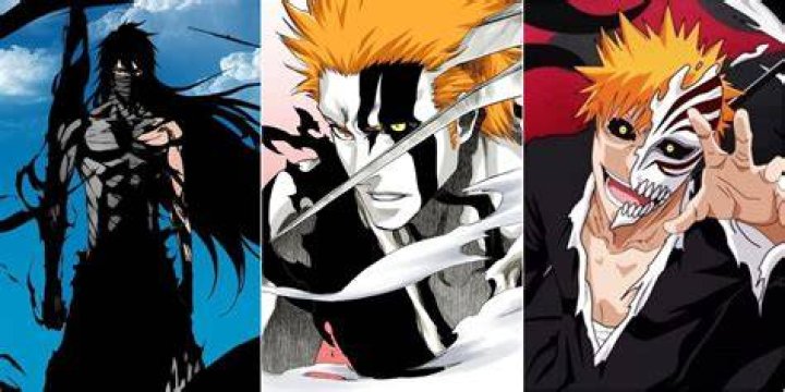 What race is Ichigo?