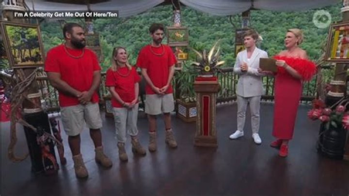 Who won 2016 I'm a celebrity?