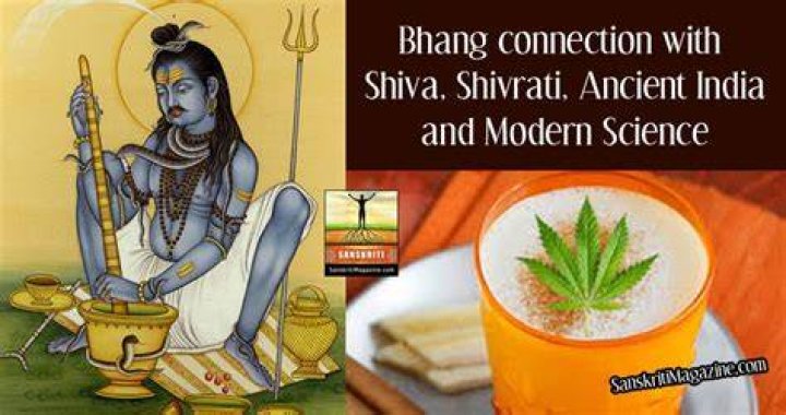 Why did Shiva drink bhang?