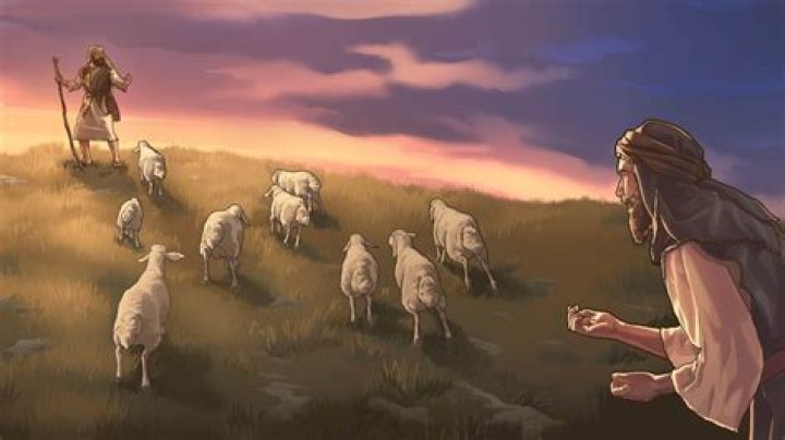 Why do sheep listen to shepherds?
